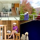 위드펫 빌리지 이미지