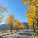 통일전 | 11월 2째주 일상|경주 통일전 단풍 구경, 가다실9 접종 후기