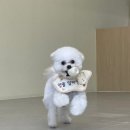 멍풀하우스 이미지