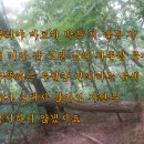 원시로 이미지