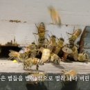 여왕벌 - 통영시 정동2길 27 | 여왕벌