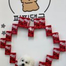 퍼피댕글 이미지