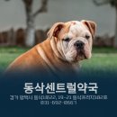 지제약국 이미지