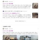 당진) 장고항 그린 좌대 2탄(어초 포인트 공유)