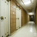 필림37.2