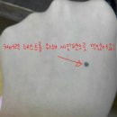 리오엘리비욘드솔루션비비크림 후기