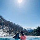 제이아쿠아짐 | 제천 포레스트 리솜 해브나인 스파 할인부터 스톤스파 예약 등