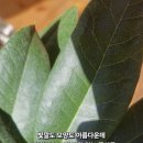 빛깔 이미지