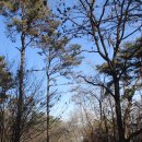 강화읍-3 이미지