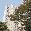 블루밍공인중개사사무소 이미지