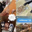 서울숲 소품샵 오브젝트 성수점 - 소프트썸네일 팝업 키링