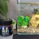 한국관상어협동조합 이미지