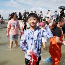 태안군, 안면도 백사장 대하축제 오는 20일부터 열려(태안타임즈) 이미지