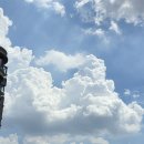 멍냥이방앗간 | 28. 쉽게 물러나지 않는 여름