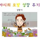 앙포레목포지사