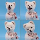 레몬이네 그루밍샵 이미지