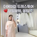 더드레스 | 더에이미 드레스투어 - 후기, 준비물, 꿀팁, 당일혜택