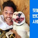 핏불 커뮤니케이션