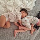 인삼닭갈비 이미지