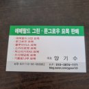 에메랄드그린 문그로우 블루애로우 블루엔젤 블루아이스 묘목농장 이미지