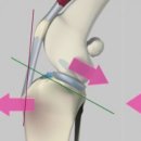 분당데이지동물병원 이미지
