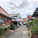 강동로1-38 이미지