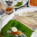 막썰어회 이미지