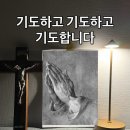 대우초등학교 Daum카페