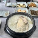 명도리옻닭백숙 | [제천/봉양읍] 제천 삼계탕 맛집 '명도리옻닭백숙'