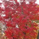 대화농업체험공원 이미지