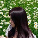 수아hair(헤어)