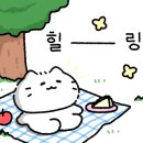 캠핑 유유자적 이미지