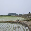 서해랑길 52코스 이미지