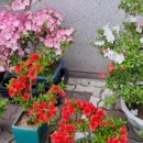 목동아산이비인후과의원 이미지