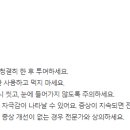 알파약국 이미지