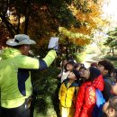 등밭유치원 이미지