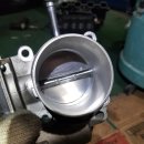 가락카센타 이미지