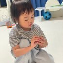 열린동물병원 | 사파리엘티디 동물피규어, 34개월 아기장난감으로 놀아본 솔직 후기