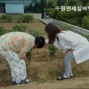 연세실버벨리 이미지