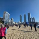 남항대교 | 2025년 남항대교 걷기 대회 후기(부산 고등어축제 마지막 날 행사 남항대교 걷기대회 후기)