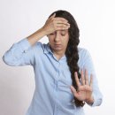 프란다스 애견 이미지