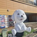 강이랑 아지랑 이미지