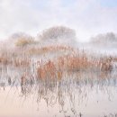 마음엔뜰 이미지