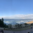 삼척해물 이미지