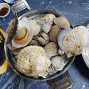 엄청난회집 이미지