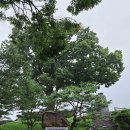 강경-7 이미지