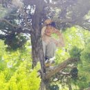 창원숲유치원 이미지