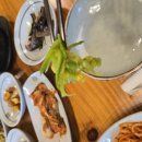 달맞이 흑두부 이미지