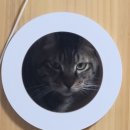 만복국수집명지 이미지