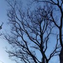 카페 아숨 by 득량 이미지